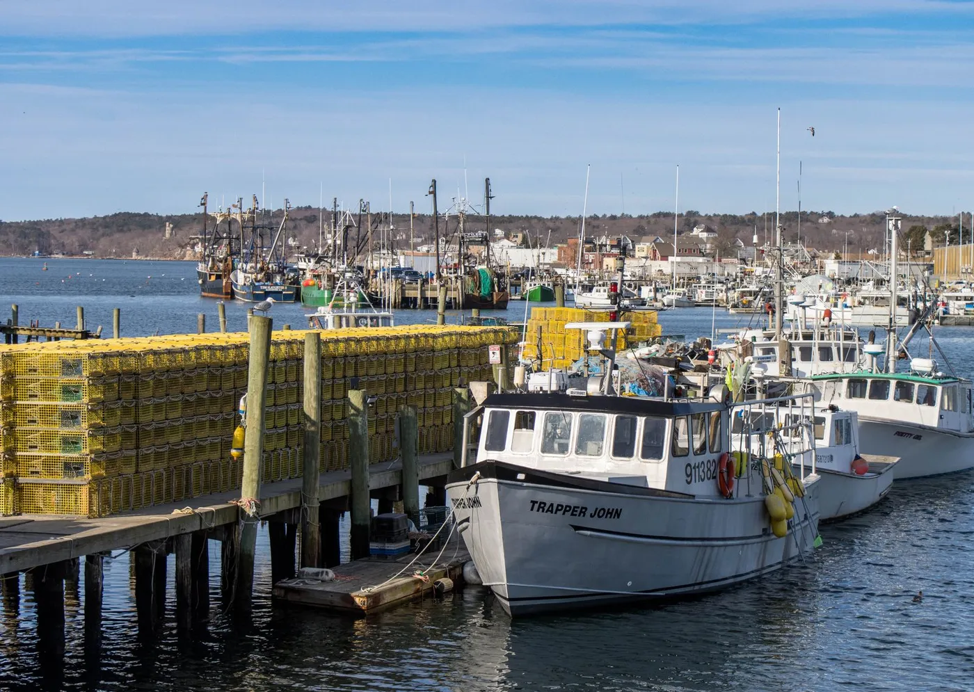 Lobster boats and stacked traps at a North Shore commercial fishing waterfront